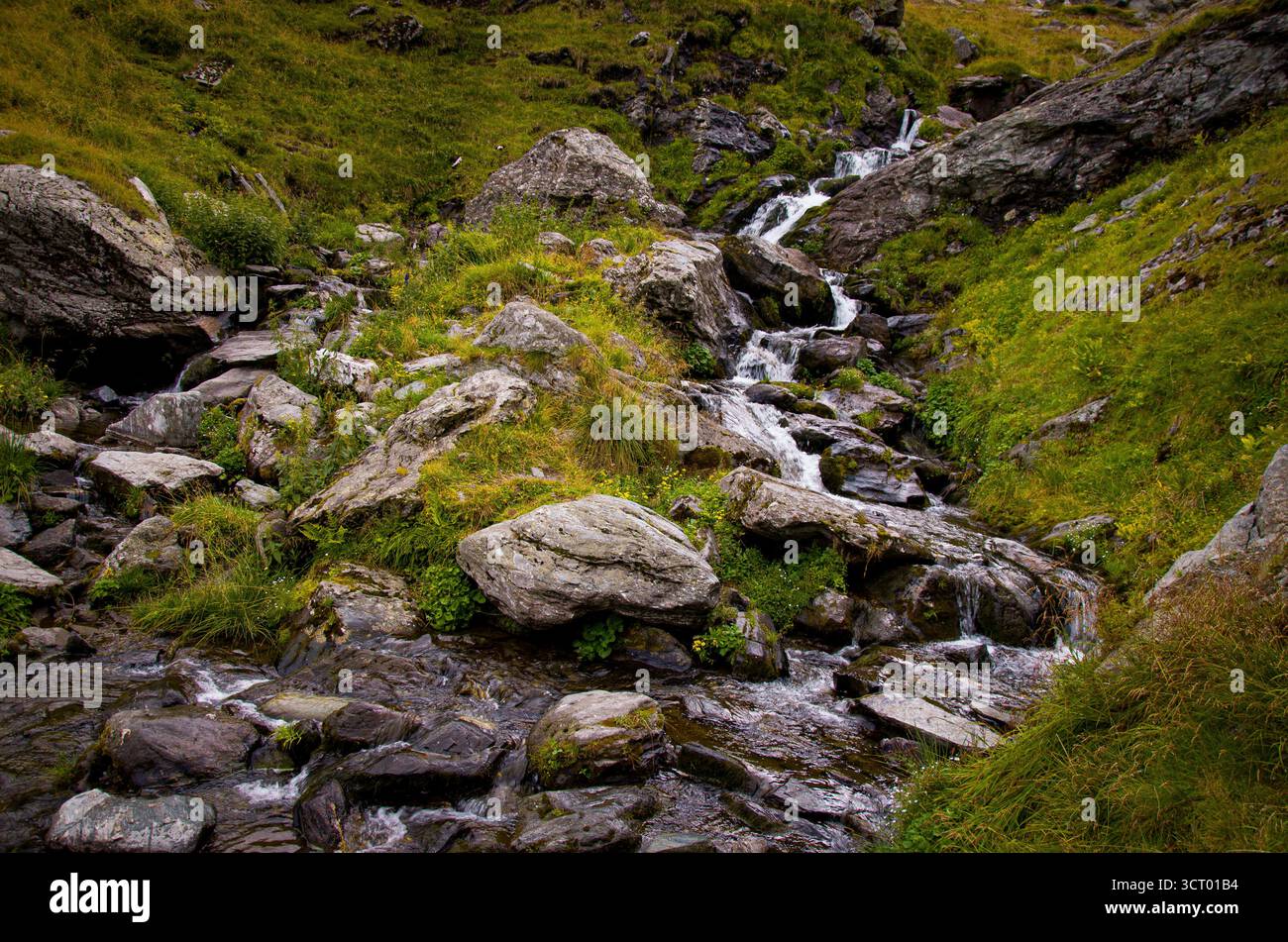 Rushing Mountain Stream Kaskadierend über Boulder und üppige grüne alpine Hänge Stockfoto