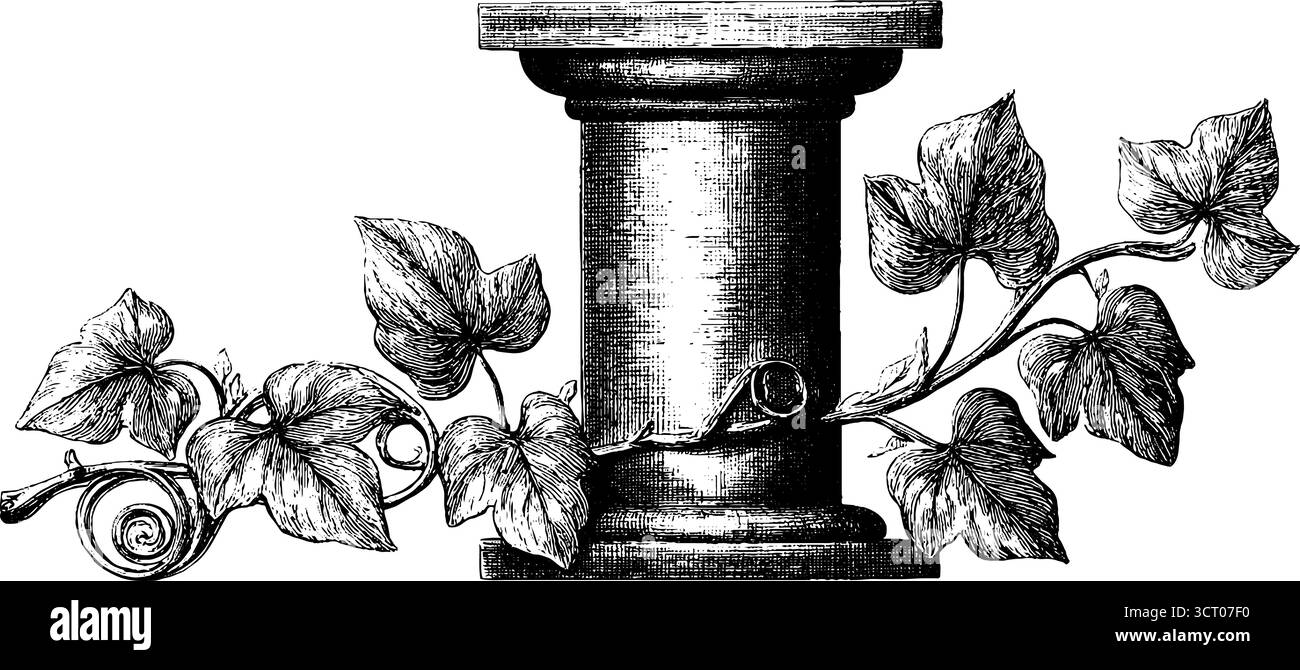 Vintage-Illustrationsset aus gebrochenem Giebel mit Efeublättern für klassisches Design. Stock Vektor