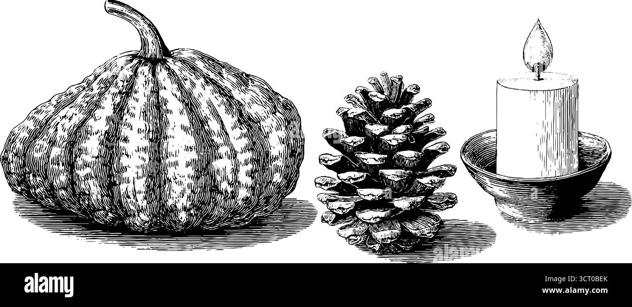 Gravierte Illustrationsset aus Kürbis, Tannenzapfen und Kerze zur Herbstdekoration. Stock Vektor