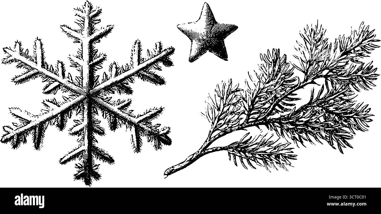 Winter Elements Kollektion: Schneeflocke mit Gravur, Kiefernzweig und Stern für saisonale Designs. Stock Vektor