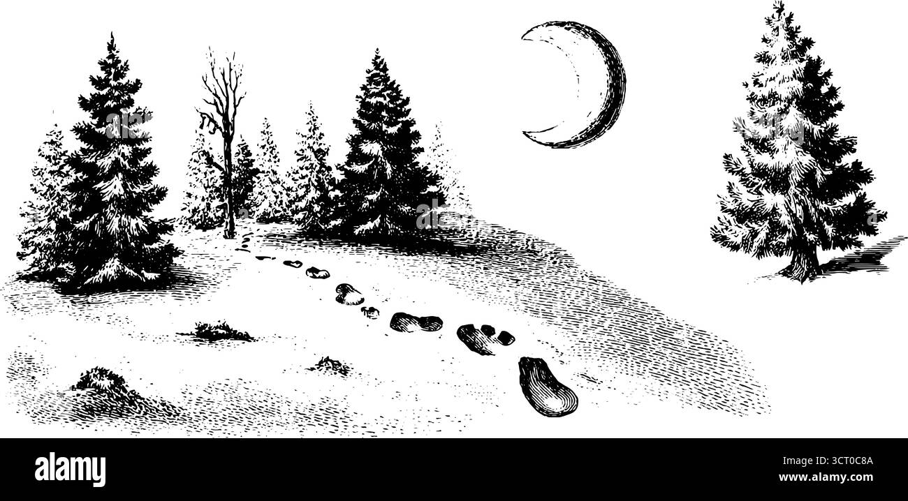 Vintage-Gravur der verschneiten Waldszene mit Mond und Fußabdrücken im Winterwald. Stock Vektor