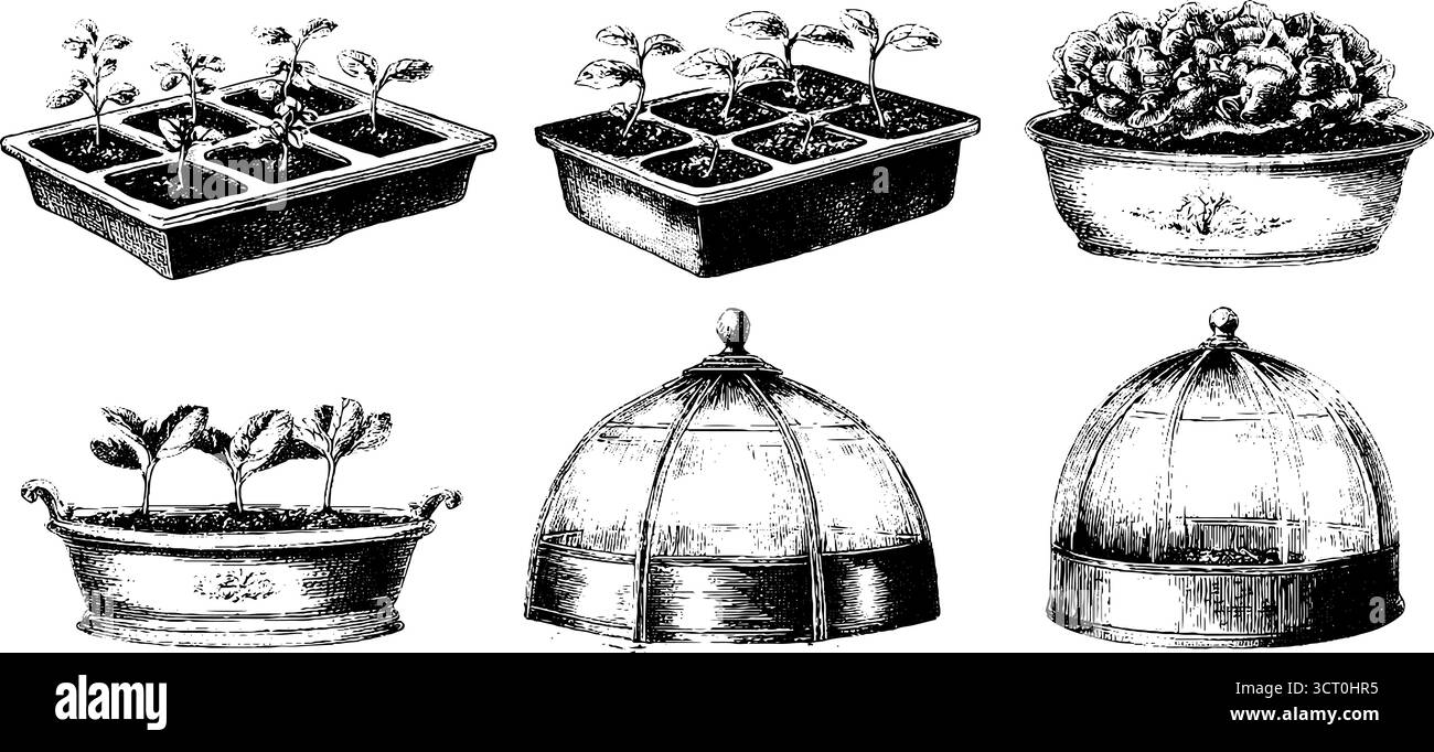 Illustrationsset für die Raumfahrt mit hydroponischen Systemen für Konstruktionsprojekte. Stock Vektor