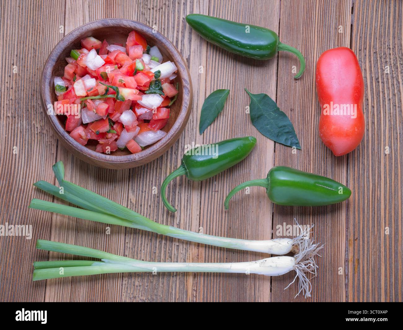 Ein flaches Foto von einer Schüssel Salsa mit ganzen Tomaten, Paprika und grünen Zwiebeln. Stockfoto