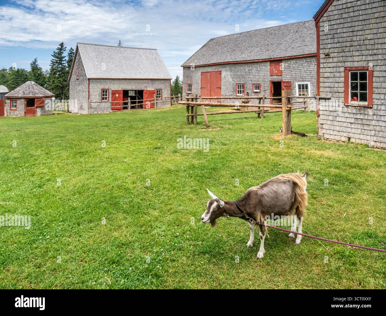Orwell Corner Historic Village ein bezauberndes historisches Dorf, das das Leben in den 1890er Jahren auf Prince Edward Island, Kanada, zeigt Stockfoto