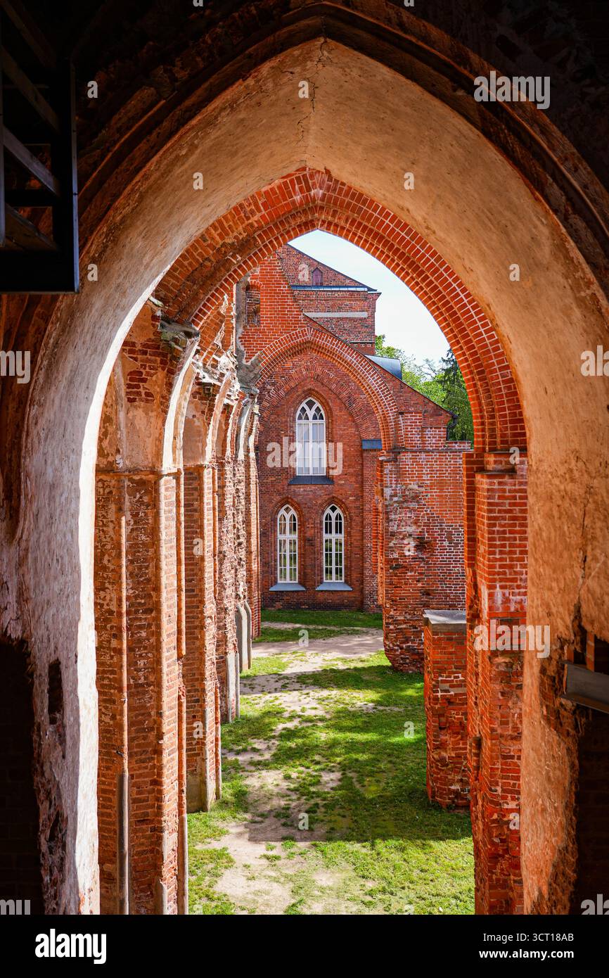 Gewölbe der Kathedrale von Tartu, auch bekannt als Dorpat Cathedral, eine ehemalige katholische Kirche in Tartu (Dorpat), Estland Stockfoto