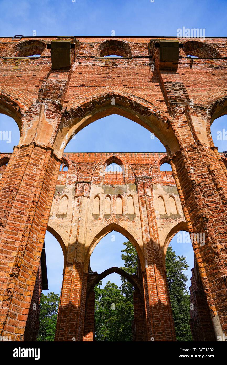 Gewölbe der Kathedrale von Tartu, auch bekannt als Dorpat Cathedral, eine ehemalige katholische Kirche in Tartu (Dorpat), Estland Stockfoto