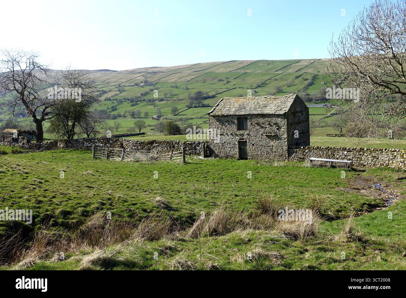 Old Traditional Stone Barn (Cowhouse) in der Nähe von Newbiggin in Bishopdale, Yorkshire Dales National Park, Yorkshire, England, Großbritannien Stockfoto