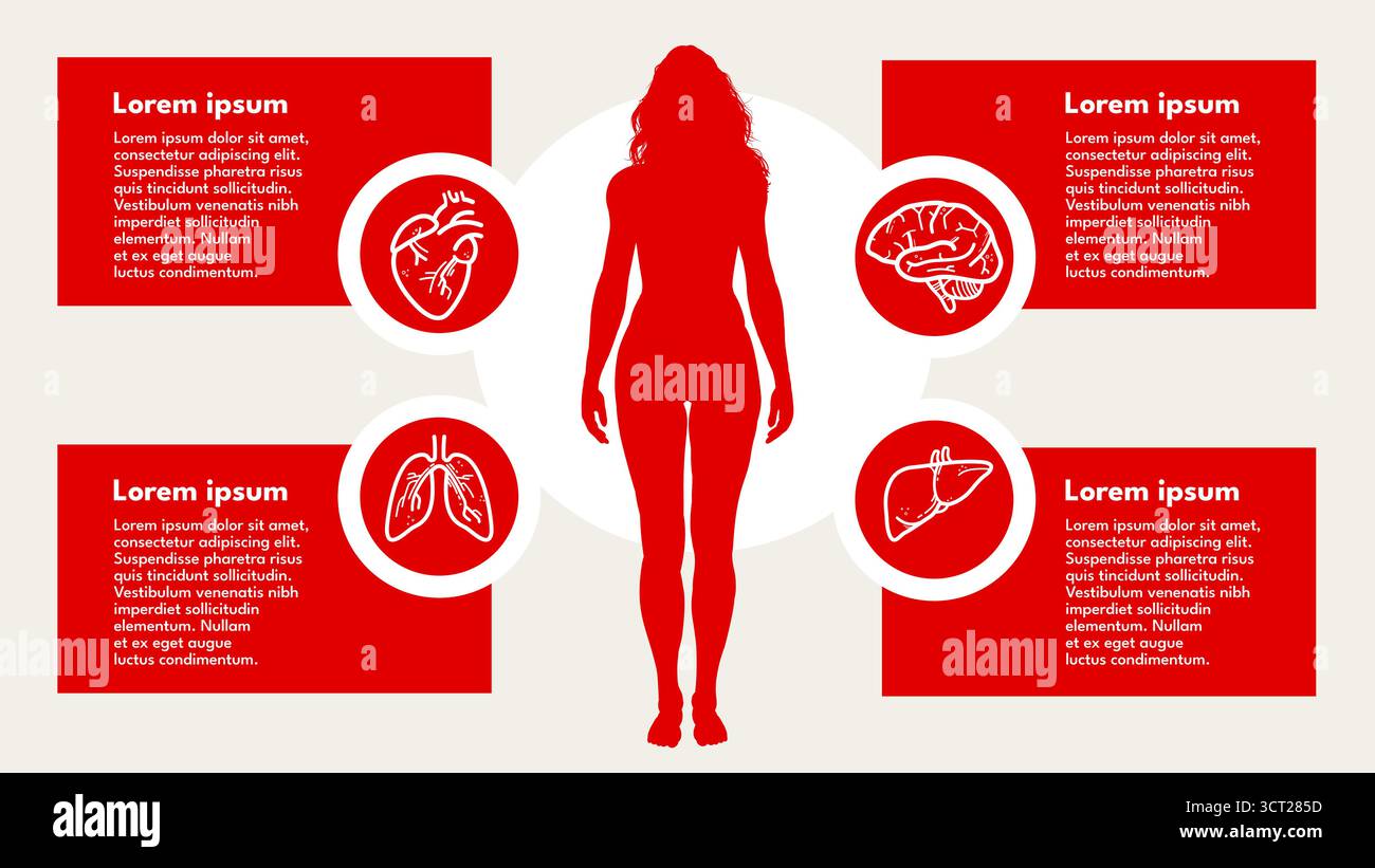 Frauensilhouette mit menschlichen Organen Infografik, Gesundheitskonzept Stock Vektor