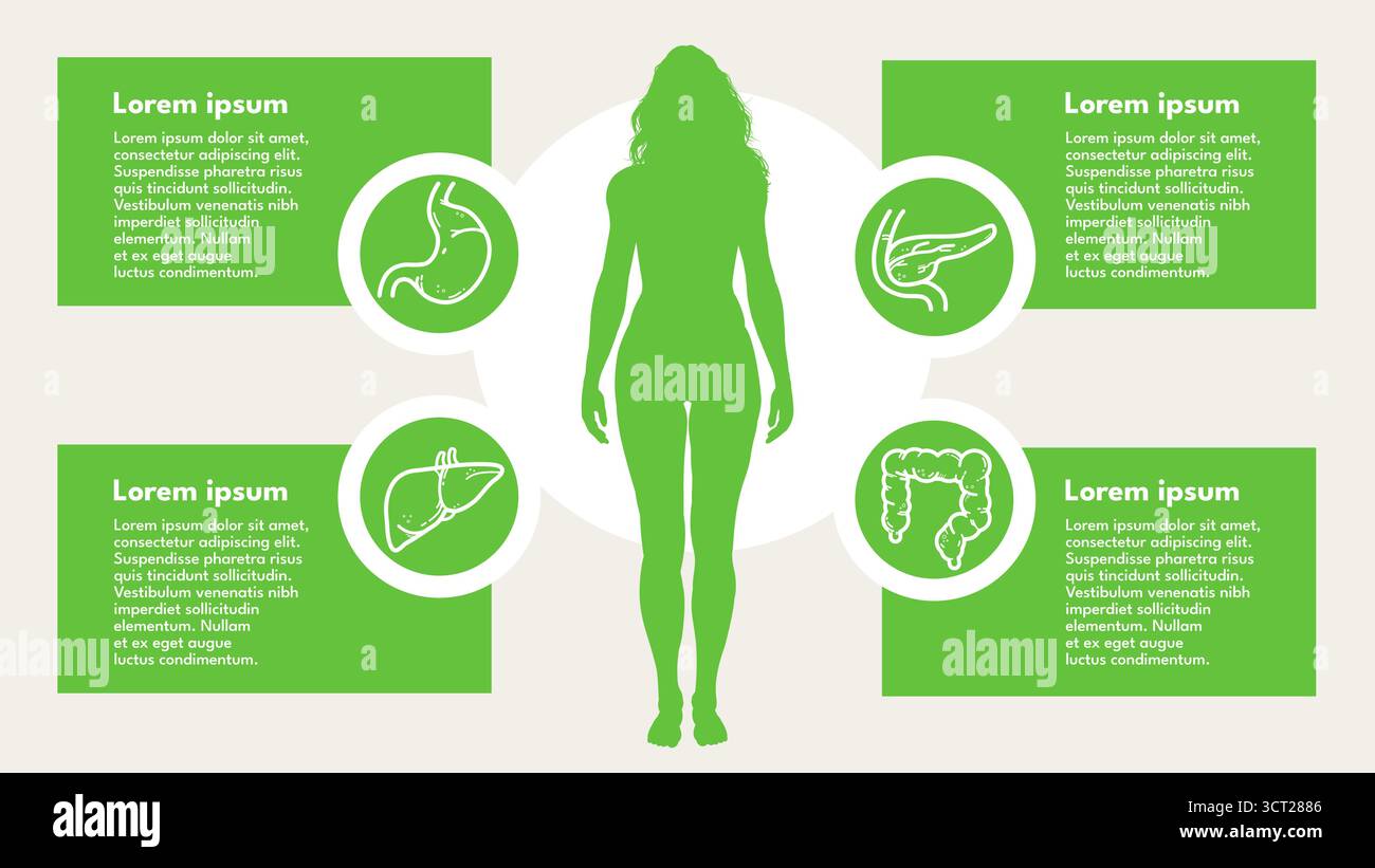 Frauensilhouette mit menschlichen Organen Infografik, Gesundheitskonzept Stock Vektor