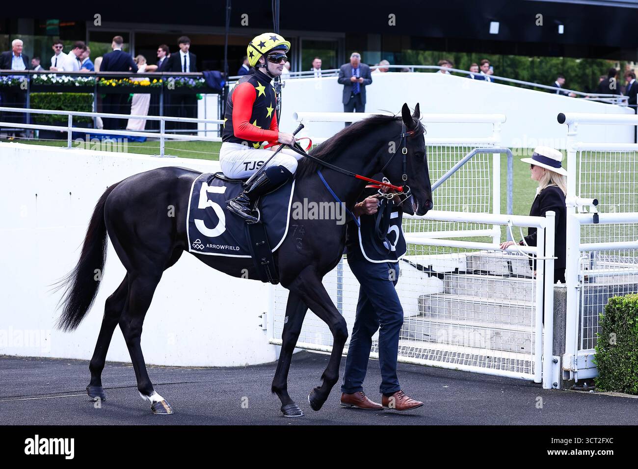 Oktober 2025, Royal Randwick, Sydney, New South Wales, Australien; TAB Epsom Horse Racing; Arrowfield Breeders Plate, Iambubb, Trainer, Mitchell &amp; Desiree Kearney, Jockey, Tyler Schiller betritt die Strecke Stockfoto