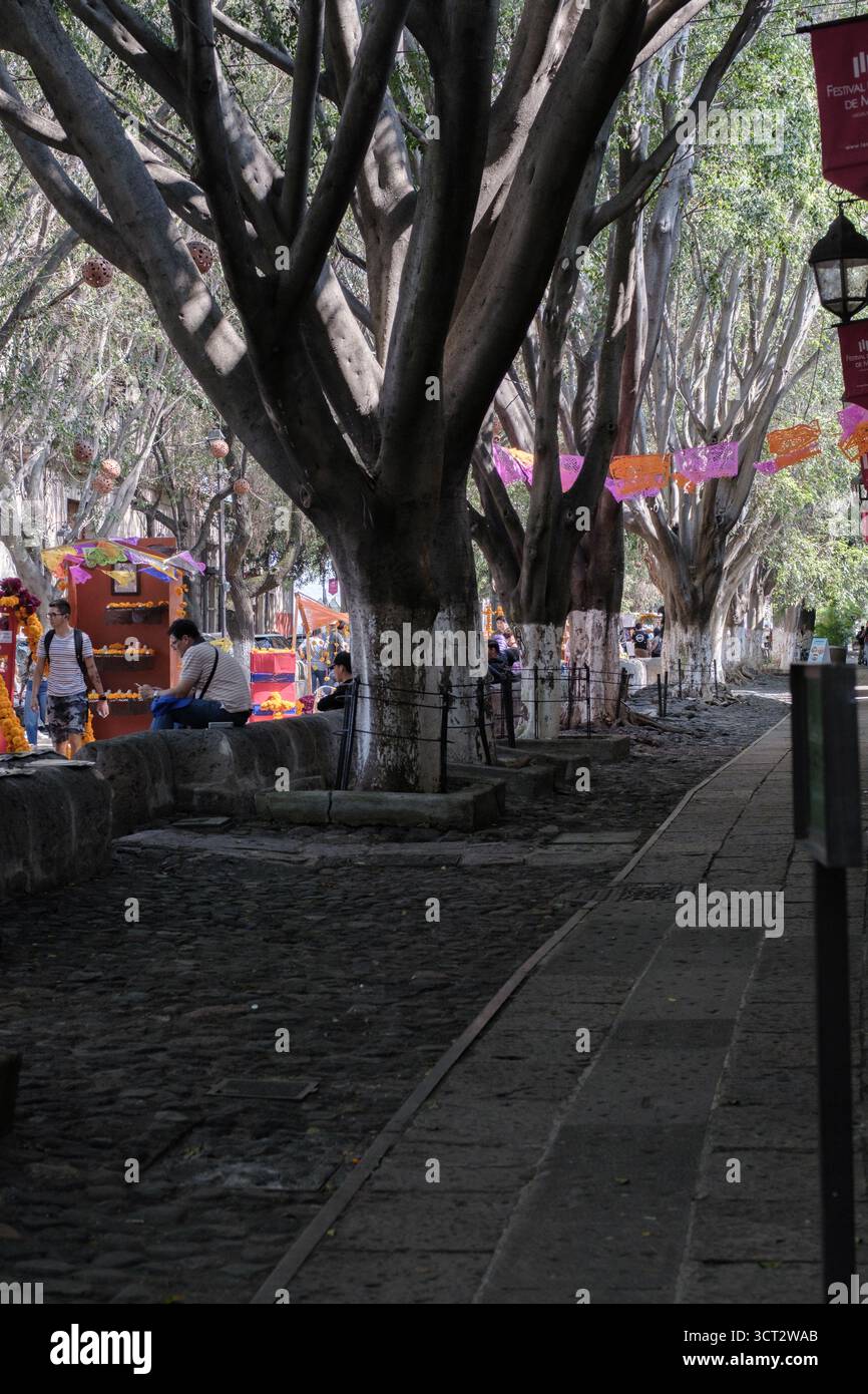 Morelia, Michoacán. Día de Muertos. Der öffentliche Raum wird von Cempasuchil-Blumen und Ritualen mexikanischer Tradition befallen. Stockfoto