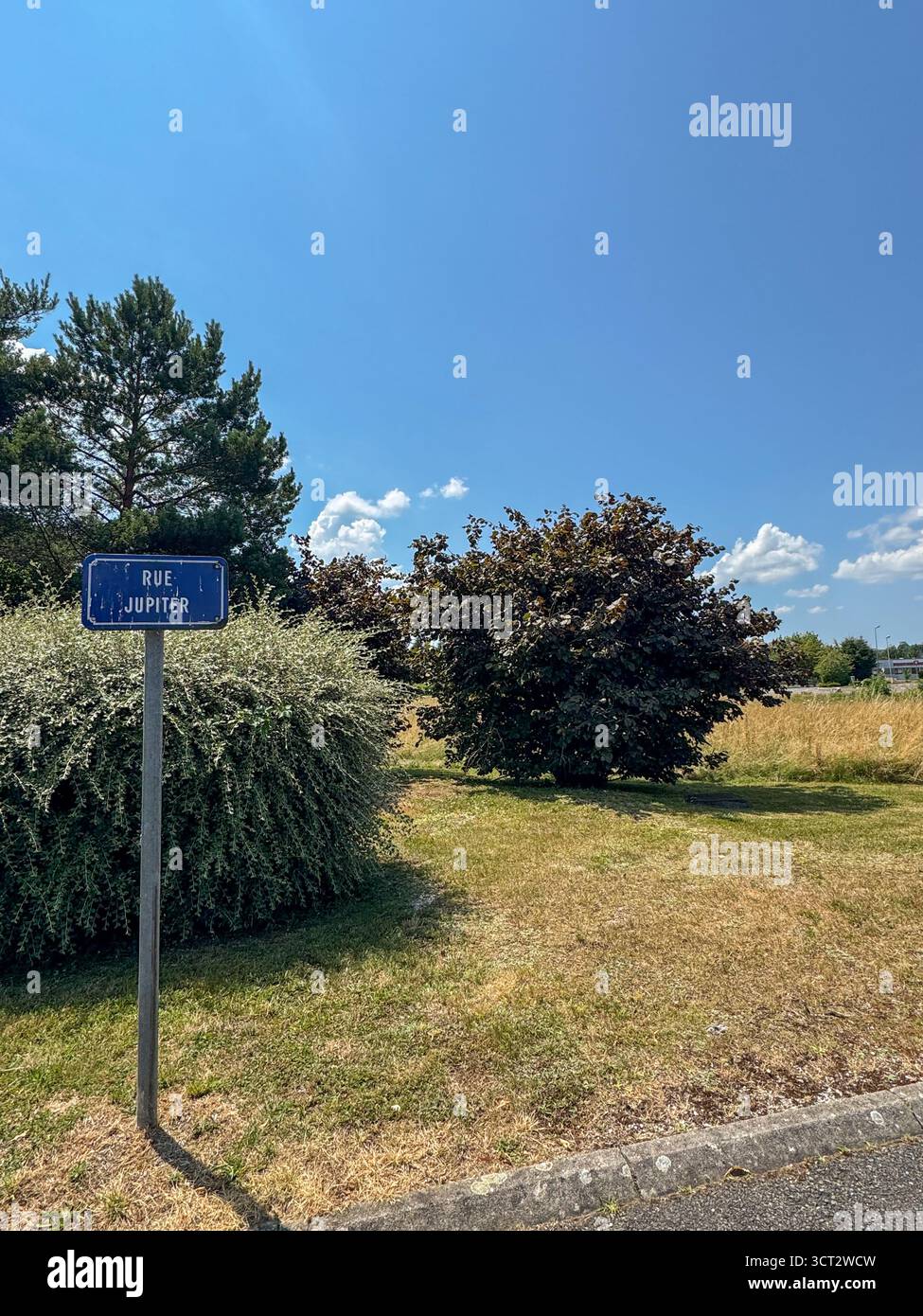 Ein blaues Straßenschild mit der Aufschrift "rue Jupiter" erhebt sich aus einem grünen Busch unter einem hellen Sommerhimmel, eingerahmt von üppigem Grennie, was auf ein ruhiges Vorstadtgeheimnis hindeutet - Smartphone-aufgenommenes Stockfoto