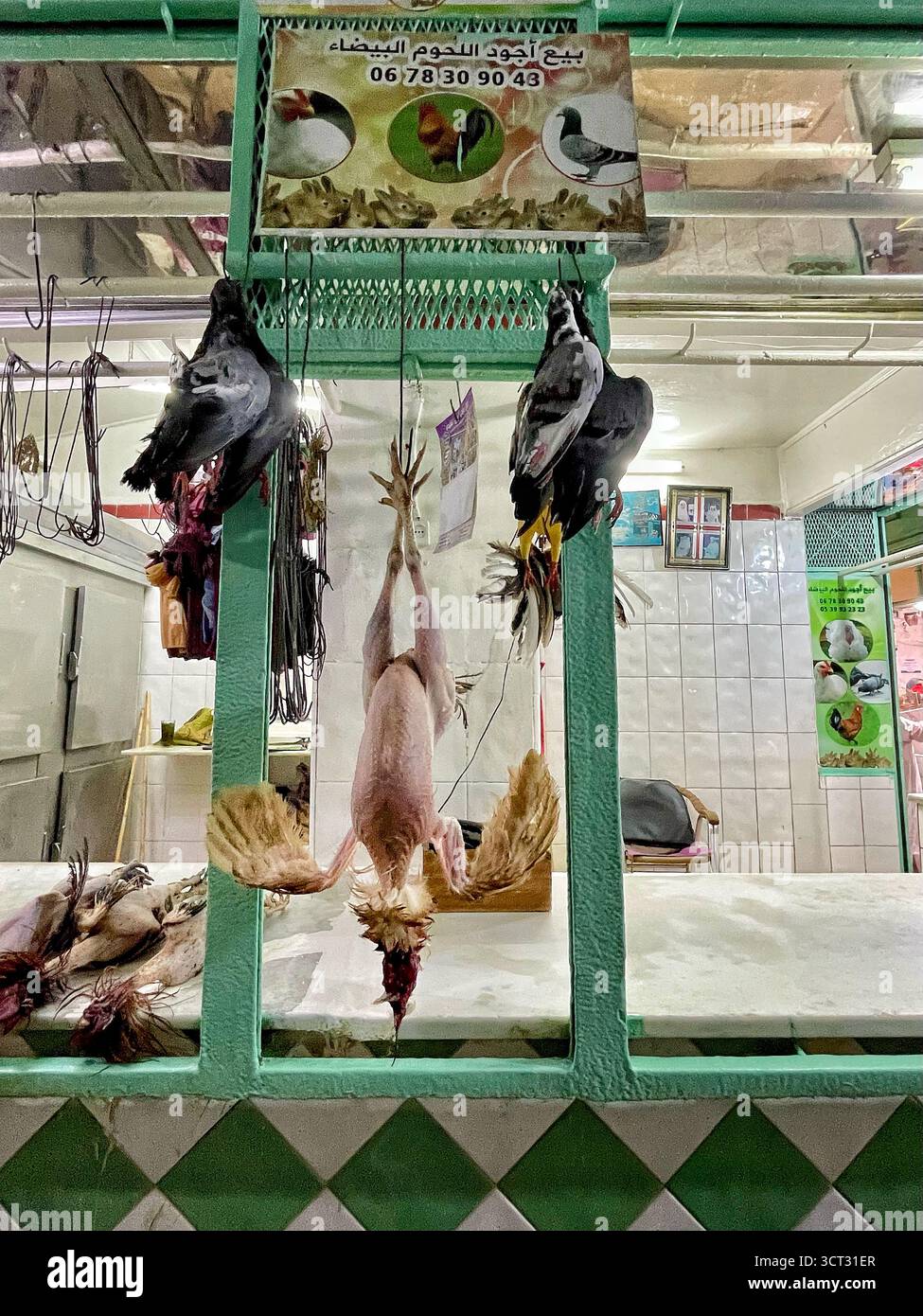 Traditioneller Fleischstand mit hängendem Geflügel und gefliestem Hintergrund. Tanger, Marokko. 4. Oktober 2025. Stockfoto