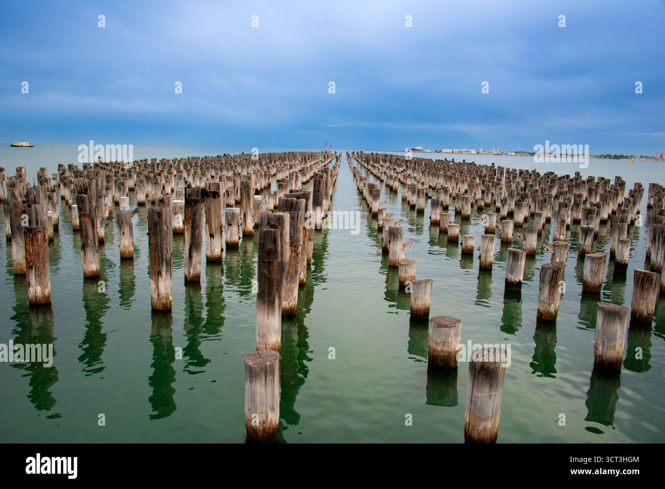 Der Princes Pier in Port Melbourne hat bedeutende Überreste seiner ursprünglichen Struktur, insbesondere die ursprünglichen Holzmasten oder -Pfähle Stockfoto