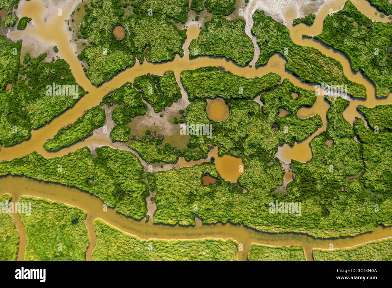 Des marais dans la baie de l'Orne avec d'ancien trou d'obus en vue aérienne // Marschen in der Bucht von Orne mit alten Muschellöchern aus der Vogelperspektive Stockfoto