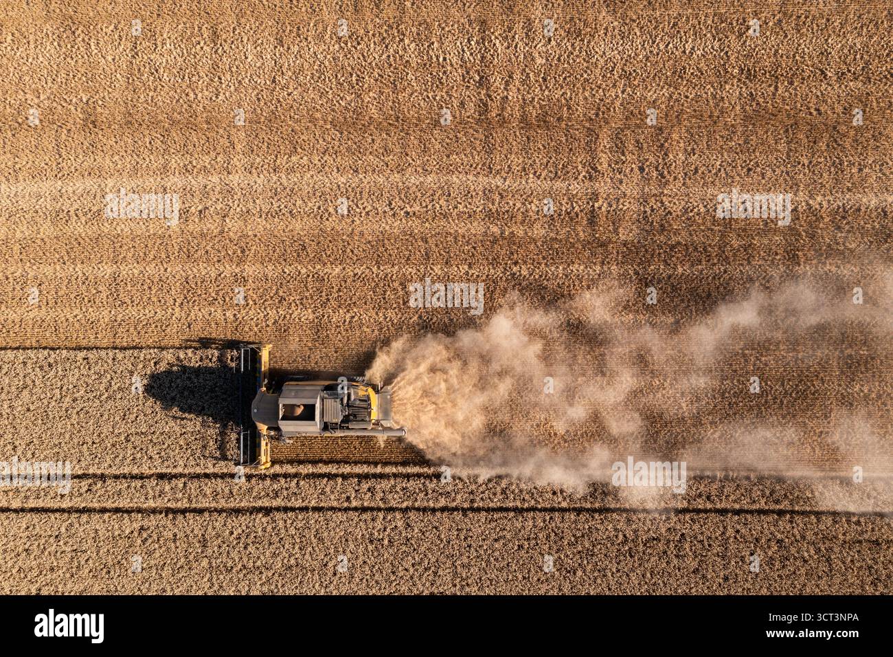 Les moissons de blé en vue aérienne par Drone dans le vexin francais Stockfoto