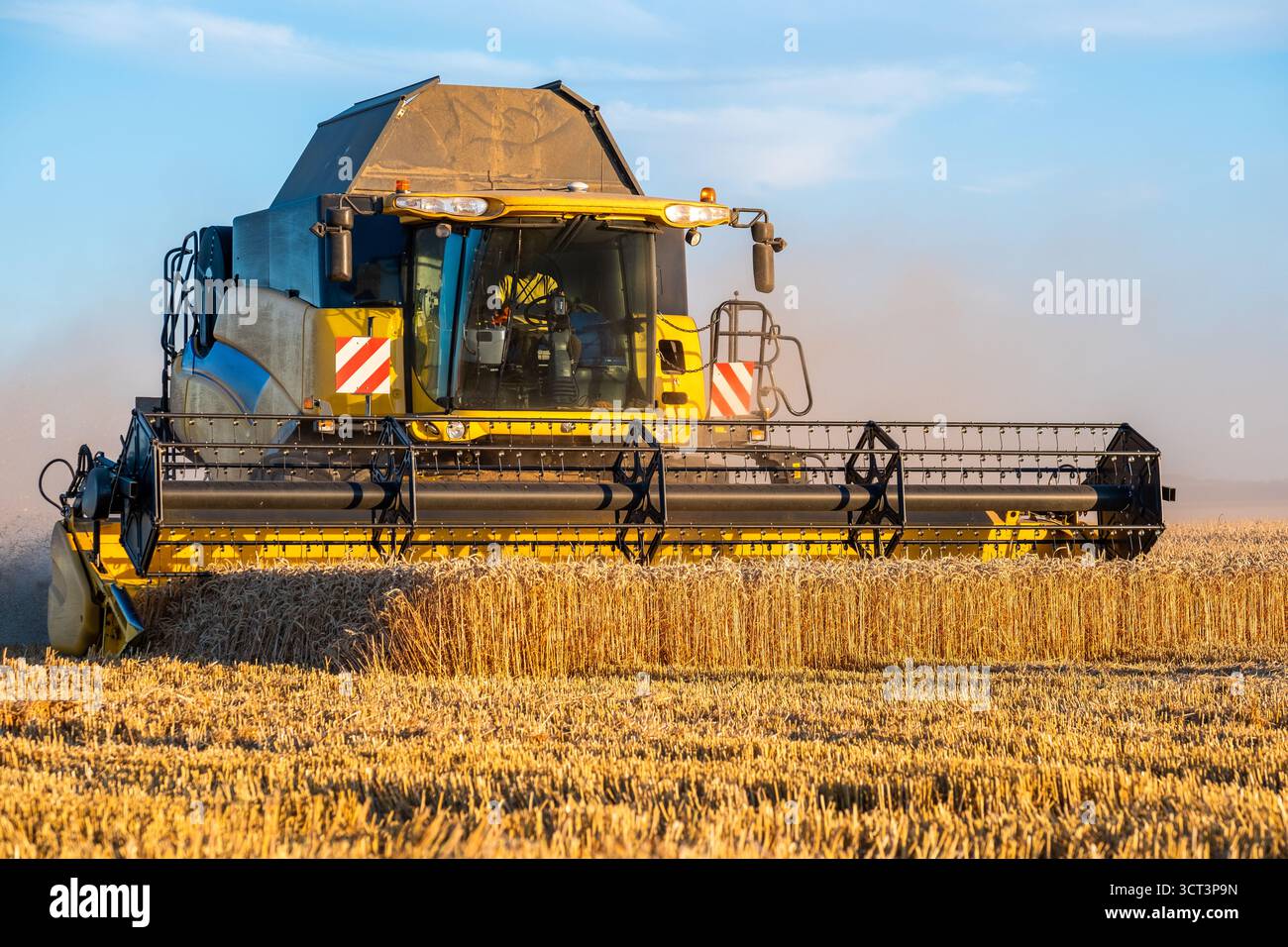 Ein Mähdrescher, der Weizen schneidet Stockfoto