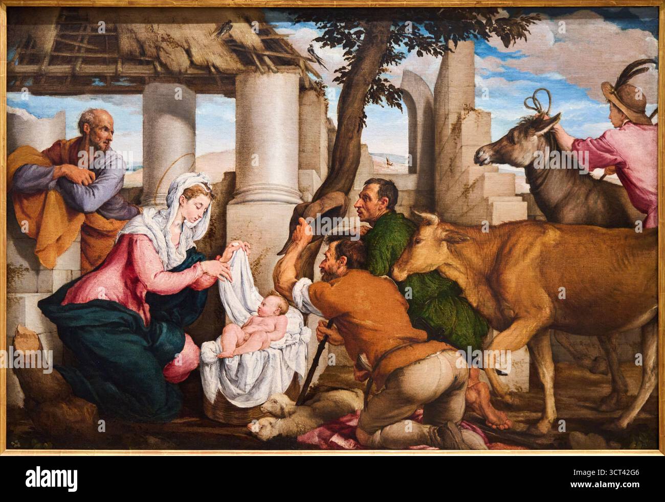 JACOPO da PONTE, bekannt als BASSANO (Bassano del Grappa, 1515 um 1592), Adorazione dei pastori, Anbetung der Hirten, 1548, Gallerie dell'Acca Stockfoto