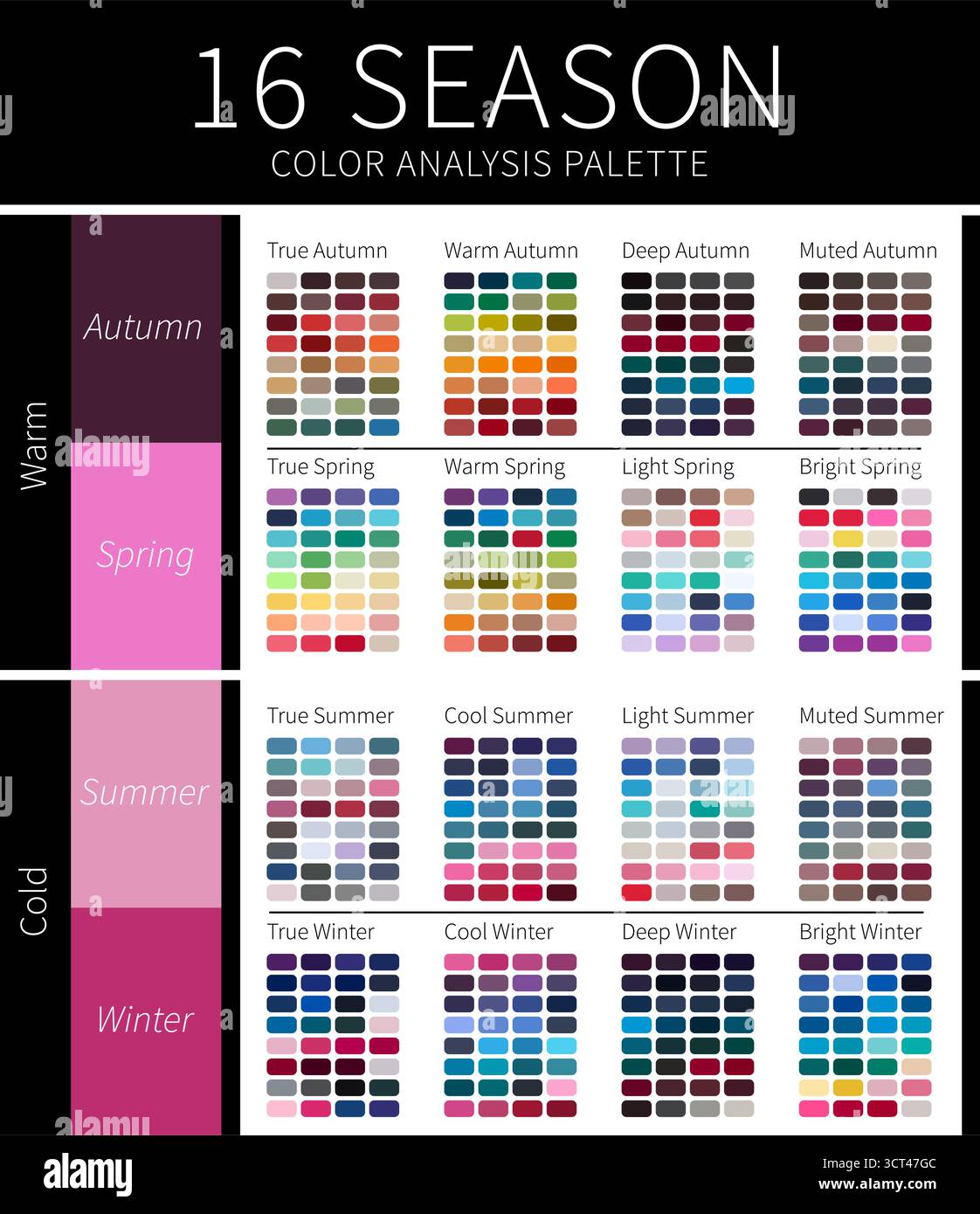 Farbanalyse-Palette der Saison 16 für Winter, Frühling, Herbst und Sommer Stock Vektor
