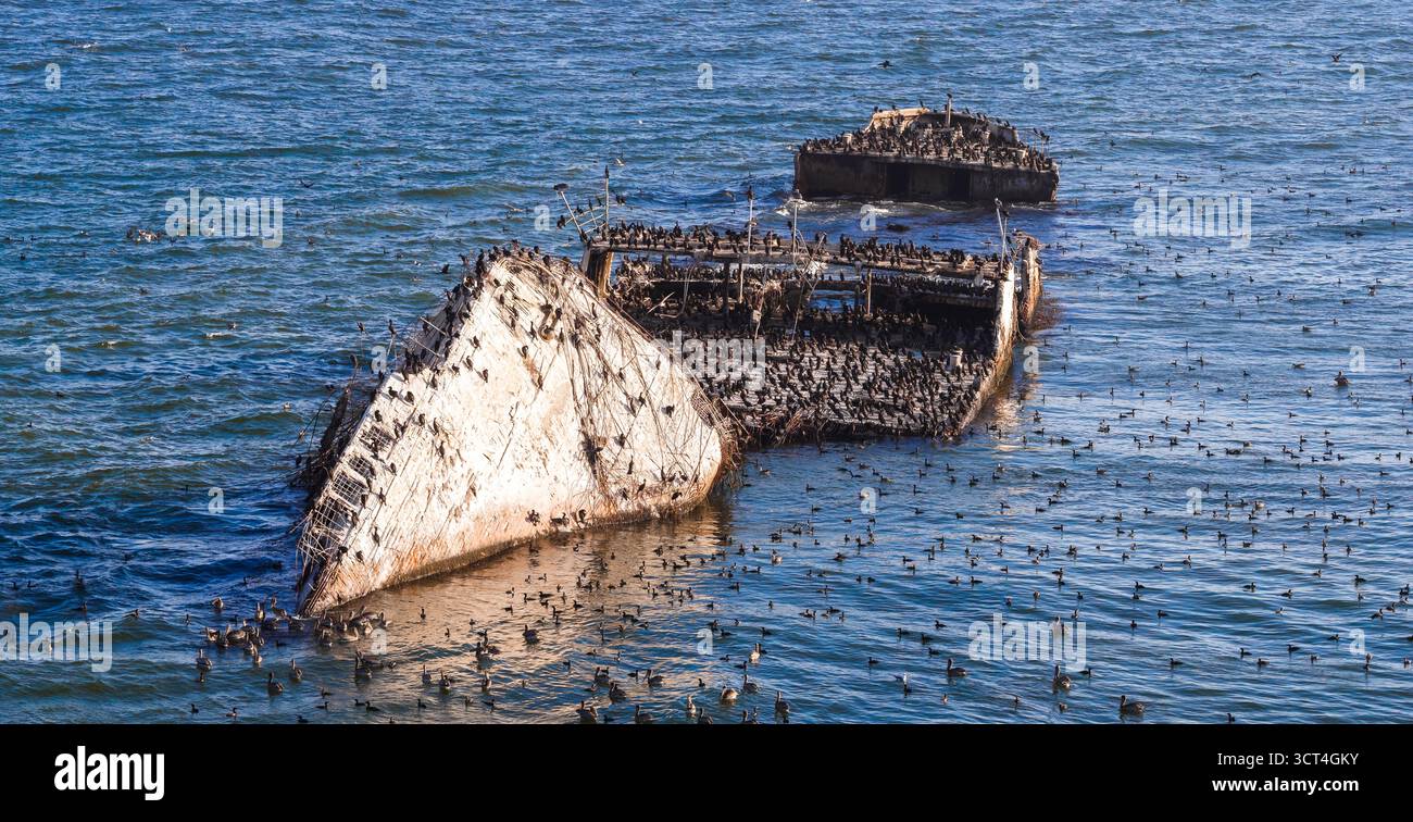 Teilweise versunkenes SS Palo Alto Schiffswrack am Seacliff State Beach Stockfoto