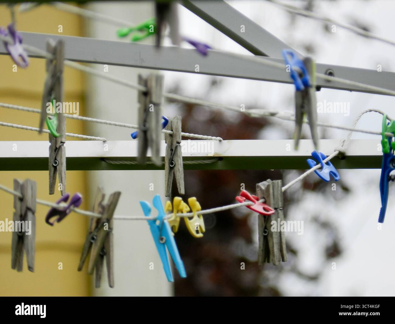 Alte und neue Kleiderschalen gemischt auf einem Trockenregal im Garten Stockfoto