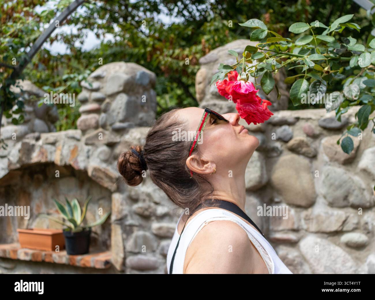 Schuss von der Frau, die an der Rosenblume schnüffelt Stockfoto