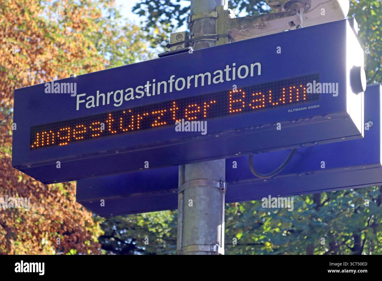 Hinweise für Fahrgäste mit der Bahn Systeme zur Fahrgastinformation zeigen einen Hinweis auf einen umgestürzten Baum an *** Ratschläge für Fahrgäste im Schienenverkehr Fahrgastinformationssysteme zeigen einen Hinweis auf einen umgestürzten Baum an Stockfoto