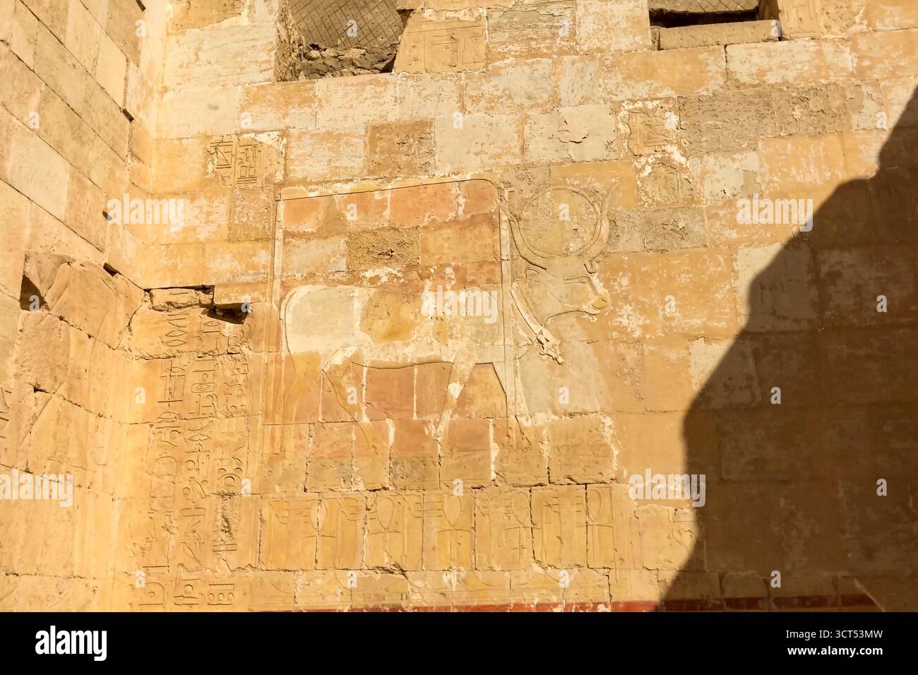 Ägyptischen Hieroglyphen und Zeichnungen an den Wänden und Säulen. Ägyptische Sprache, das Leben der antiken Götter und Menschen in Hieroglyphen und Zeichnungen Stockfoto