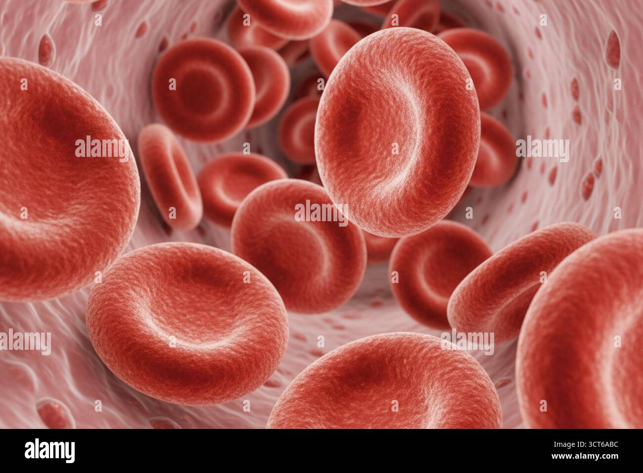 Rote Blutkörperchen in einer roten Vene. Lebenskonzept und Vitalität, da die roten Blutkörperchen die Lebenskraft des Körpers sind Stockfoto