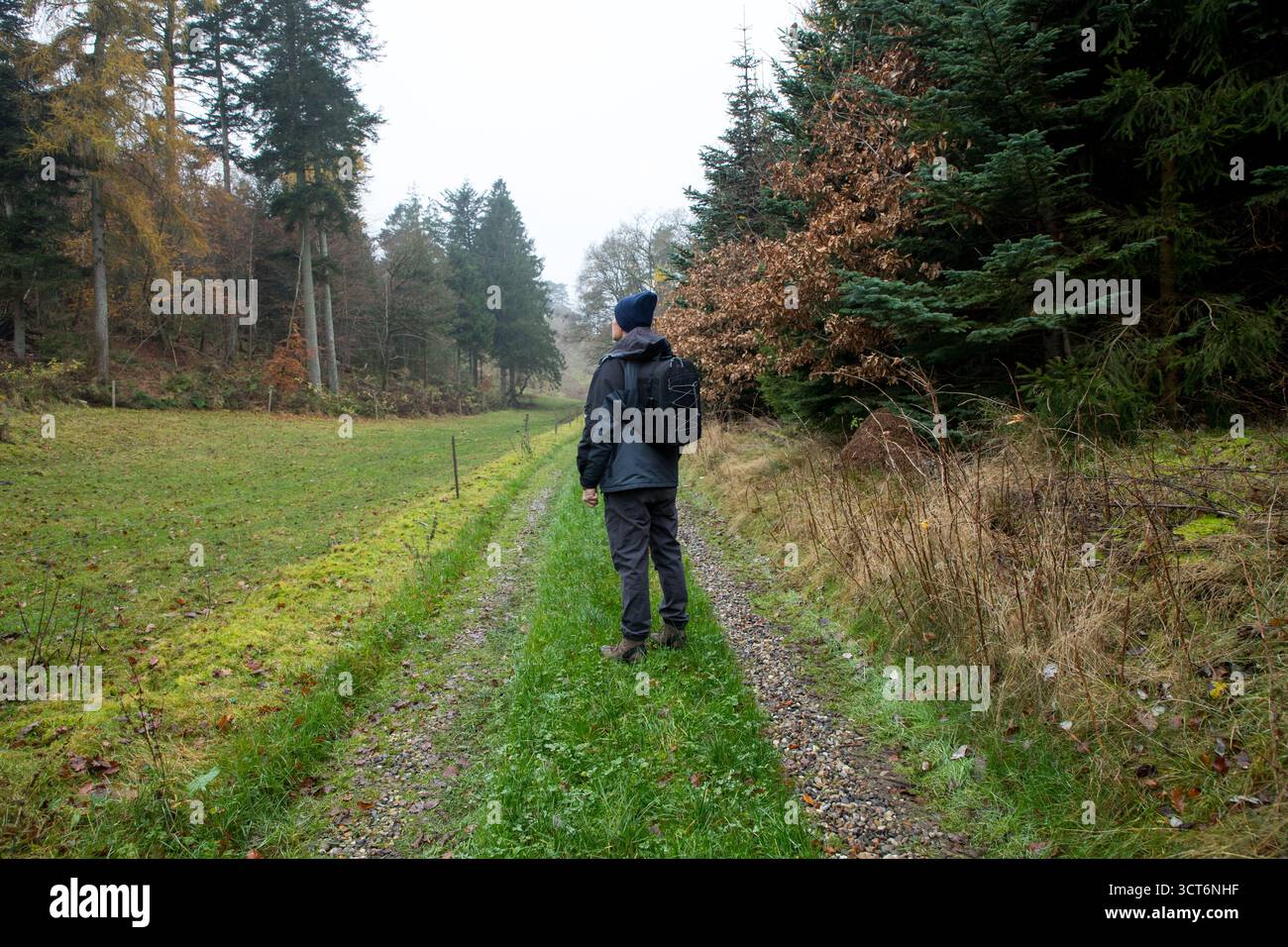 Mann in grauer Winterkleidung, der einen Pfad auf dem Herbstwaldpfad hinuntergeht Stockfoto Mann in grauer Winterkleidung, der einen Pfad auf dem Herbstwaldpfad hinuntergeht Stockfoto
