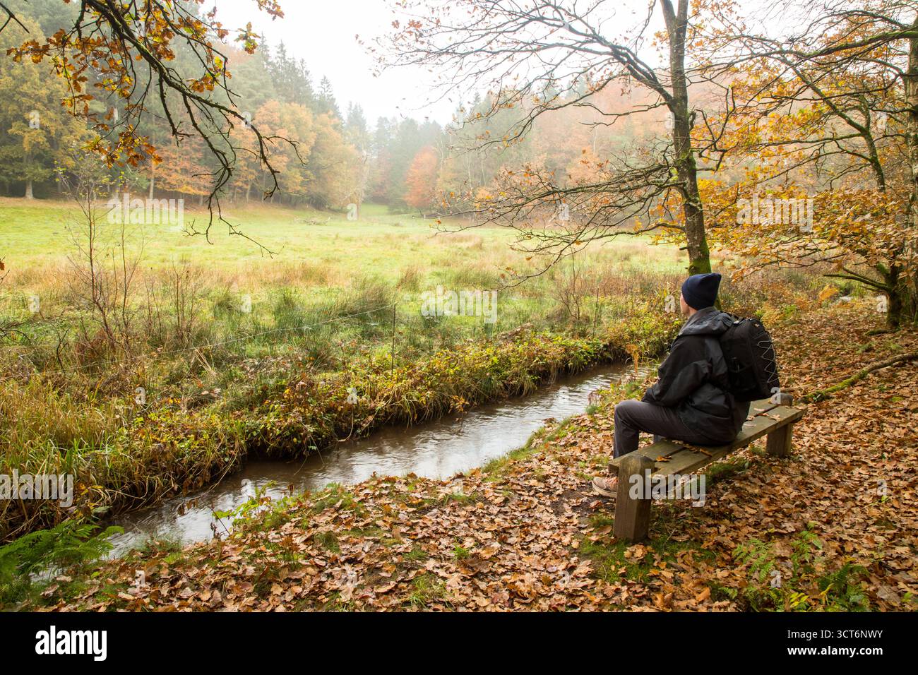 Ein Mann, der auf einer Holzbank im Wald am kleinen Bach ruht und die Stille des unberührten Waldes mit Herbstlaub und Nebel in der Luft genießt. Stockfoto
