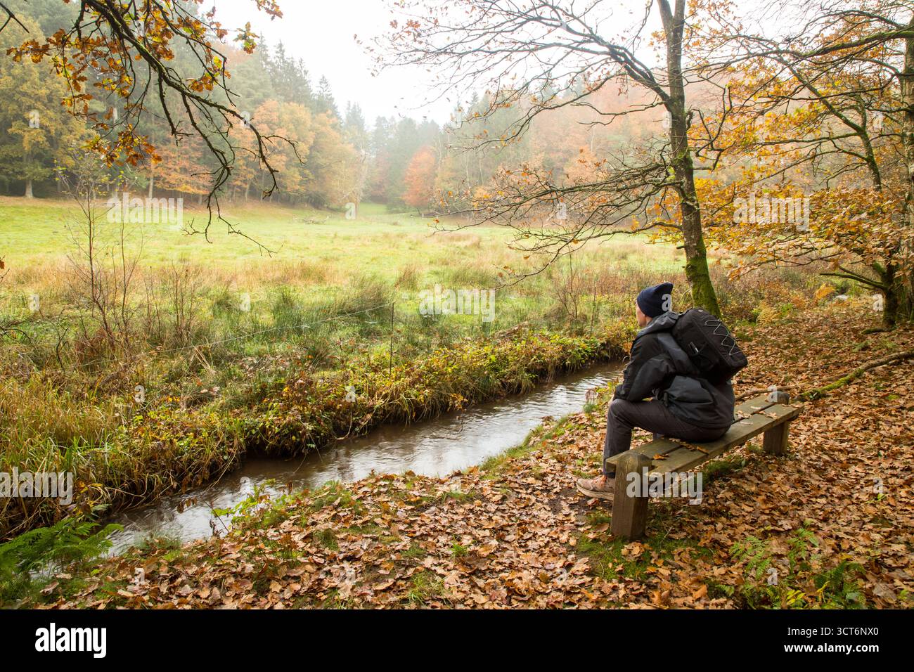 Ein Mann, der auf einer Holzbank im Wald am kleinen Bach ruht und die Stille des unberührten Waldes mit Herbstlaub und Nebel in der Luft genießt. Stockfoto