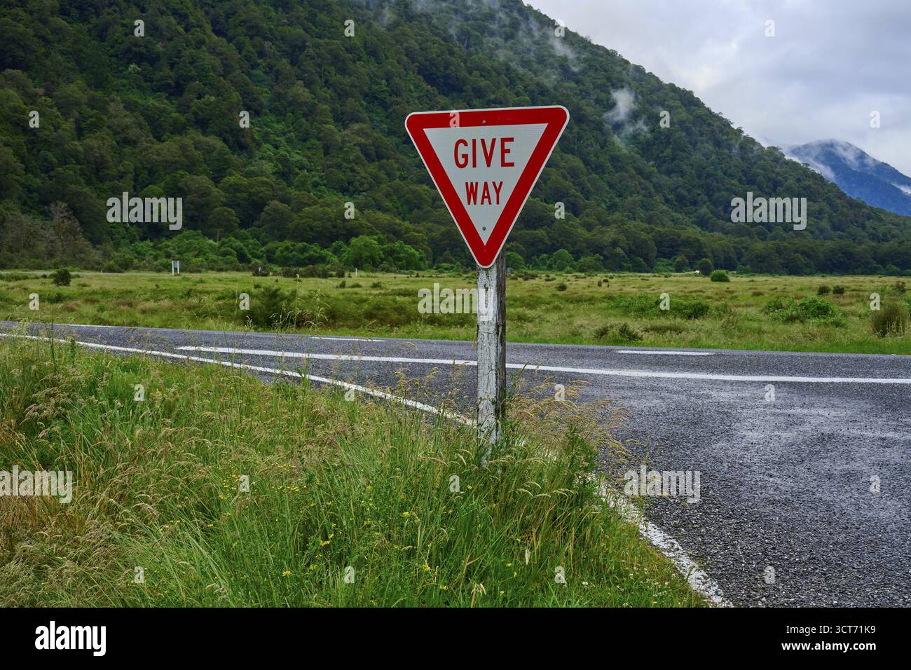 Ein „Give Way“-Schild vor einer Landstraße inmitten einer grünen Landschaft, Haast, Haast River, Pleasant Flat Bridge, Mount Aspiring National Par Stockfoto