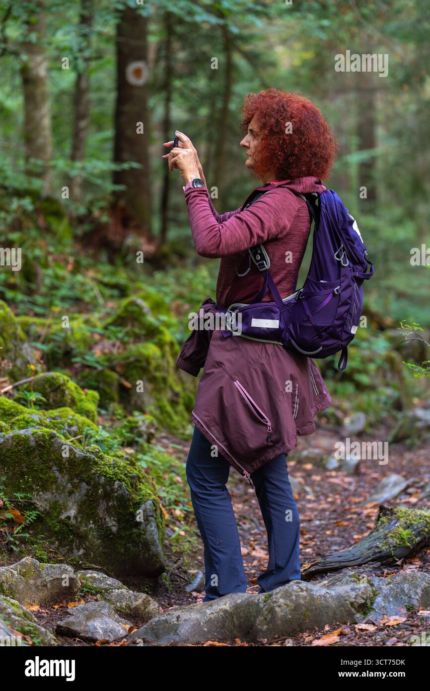 Reife rothaarige Frau wandert durch einen Wald und macht mit ihrem Smartphone ein Foto auf einem felsigen, moosbedeckten Pfad im Apuseni-Gebirge Stockfoto