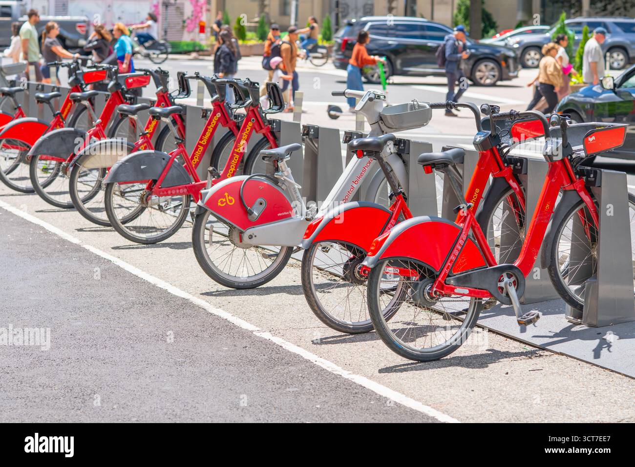Washington D.C., USA - 24. Mai 2025. Eine Reihe von Capital Bikeshare-Fahrrädern parkt an einer belebten Anlegestelle im Stadtzentrum. Stockfoto