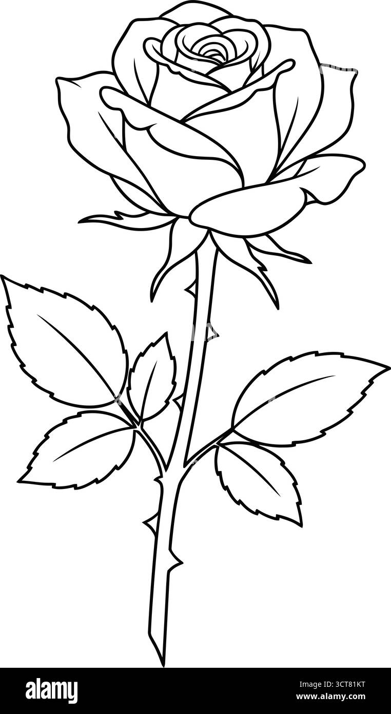 Diese detaillierte Strichgrafik-Illustration zeigt eine wunderschöne Rose mit komplizierten Blüten und Blättern. Stock Vektor