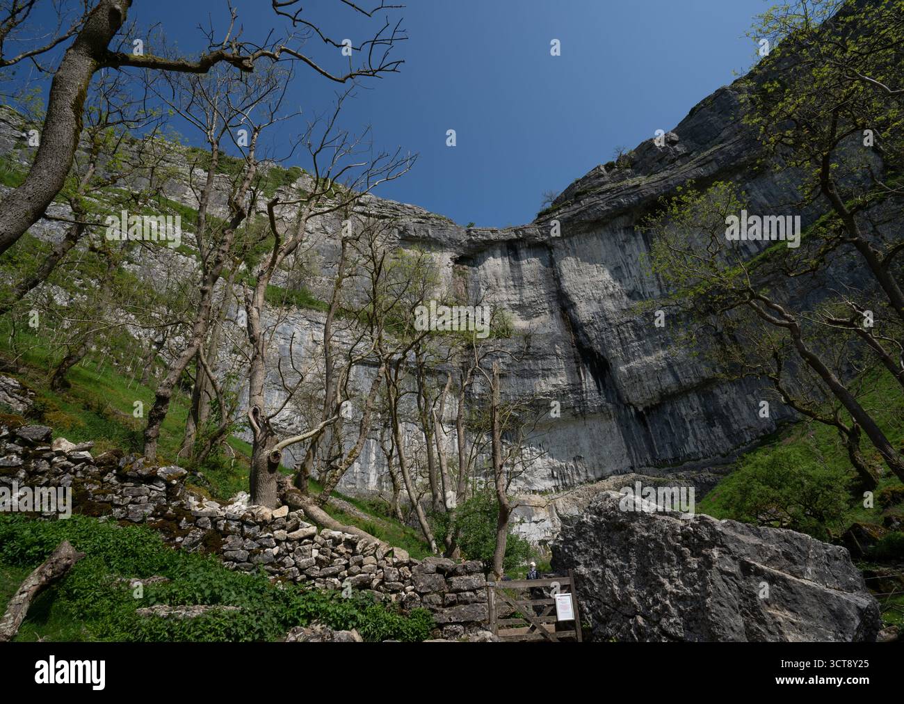 Dramatische Kalksteinklippen und Steinmauer in der Landschaft der Yorkshire Dales am Frühlingstag Stockfoto