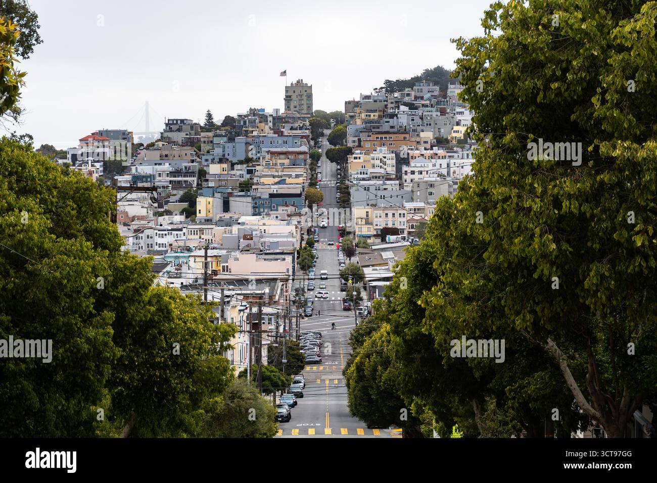 Lombard St. San Francisco Stockfoto