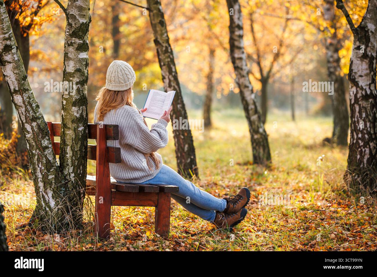 Frau sitzt auf Holzbank im Herbstwald, während sie Buch liest, genießt ruhige Momente der Freizeit und Achtsamkeit im Freien Stockfoto
