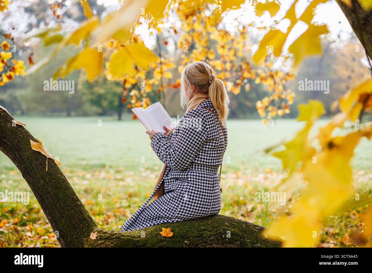 Eine Frau im Hahnentrittmantel liest im Herbstpark Buch. Entspannung und geistiges Wohlbefinden im Freien Stockfoto