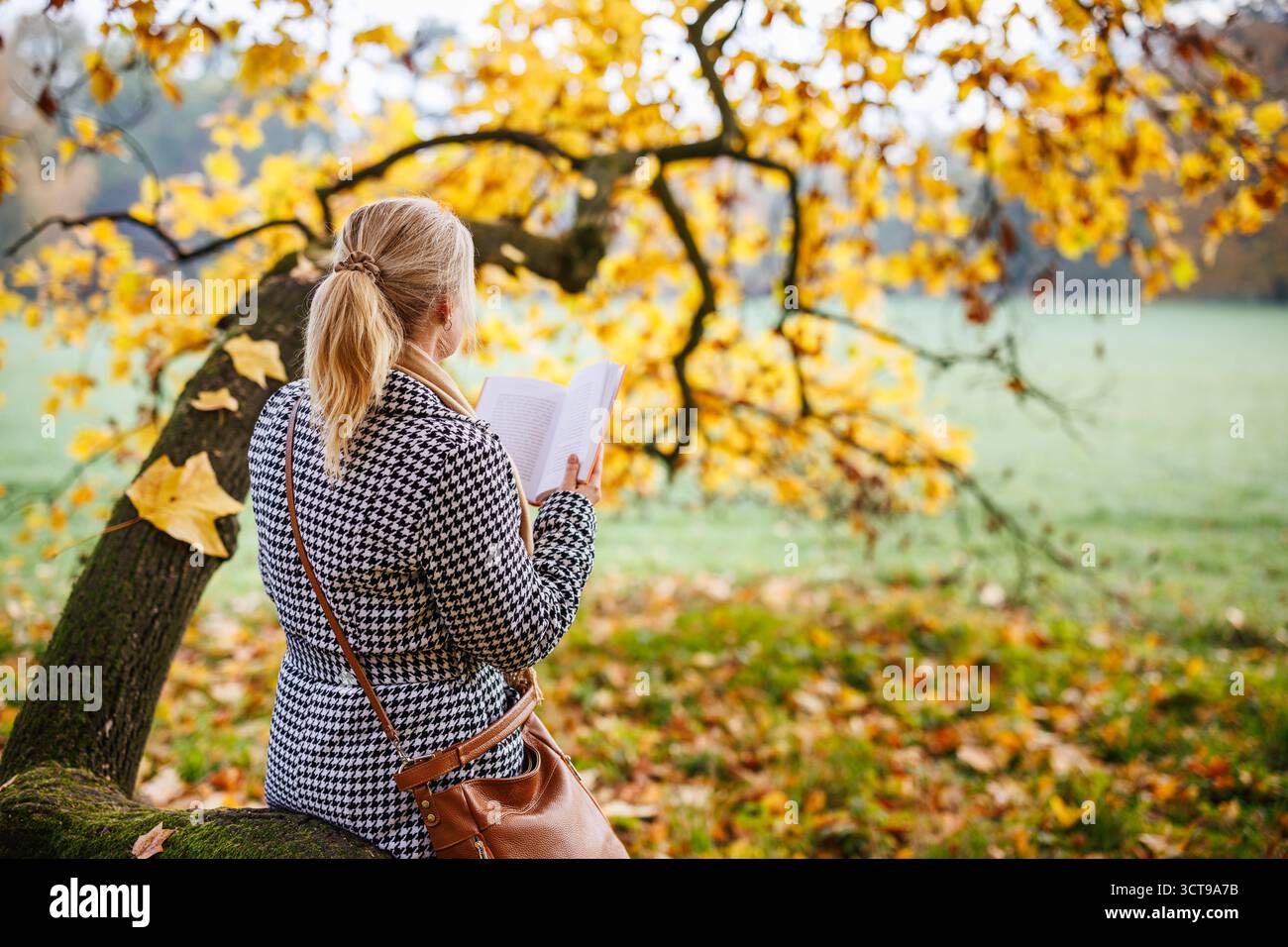 Frau liest im Herbstpark Buch. Entspannung und geistiges Wohlbefinden im Freien Stockfoto