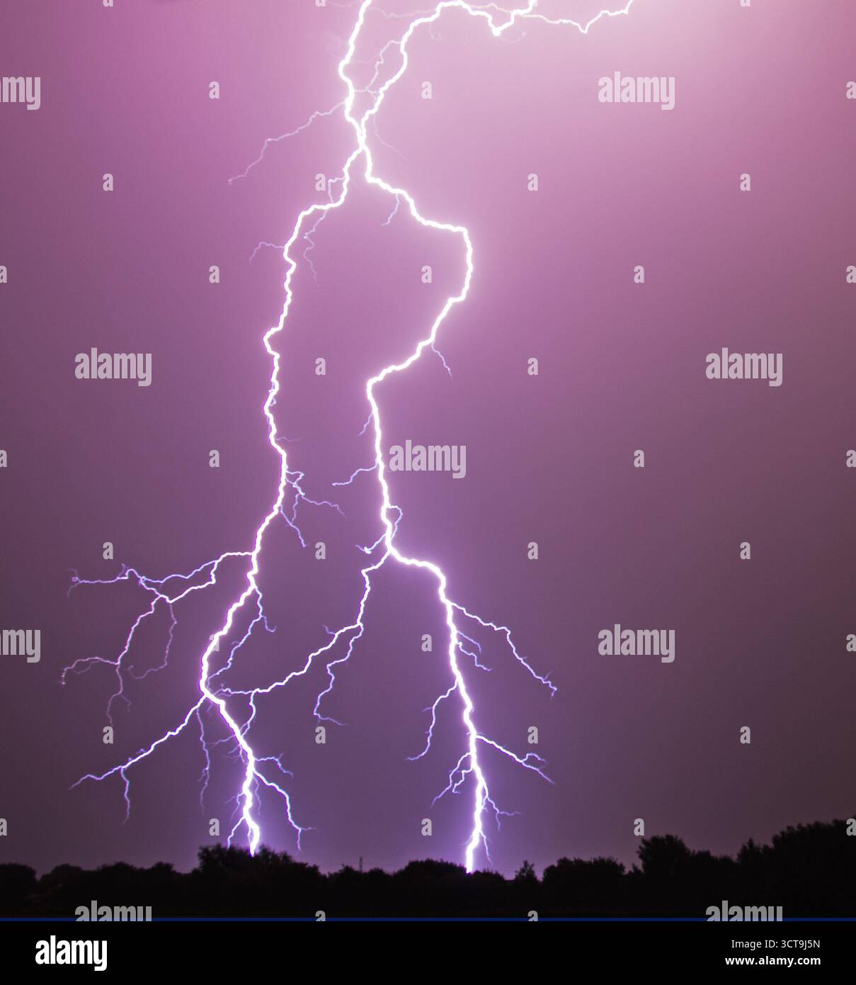 Ein lebendiger Blitz über einem Maisfeld Stockfoto