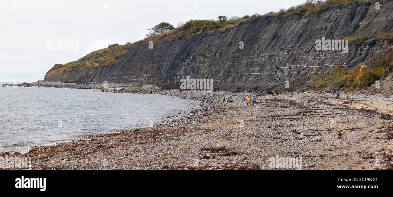 Monmouth Beach, Jurrasic Coast, Lyme Regis, Großbritannien. Stockfoto