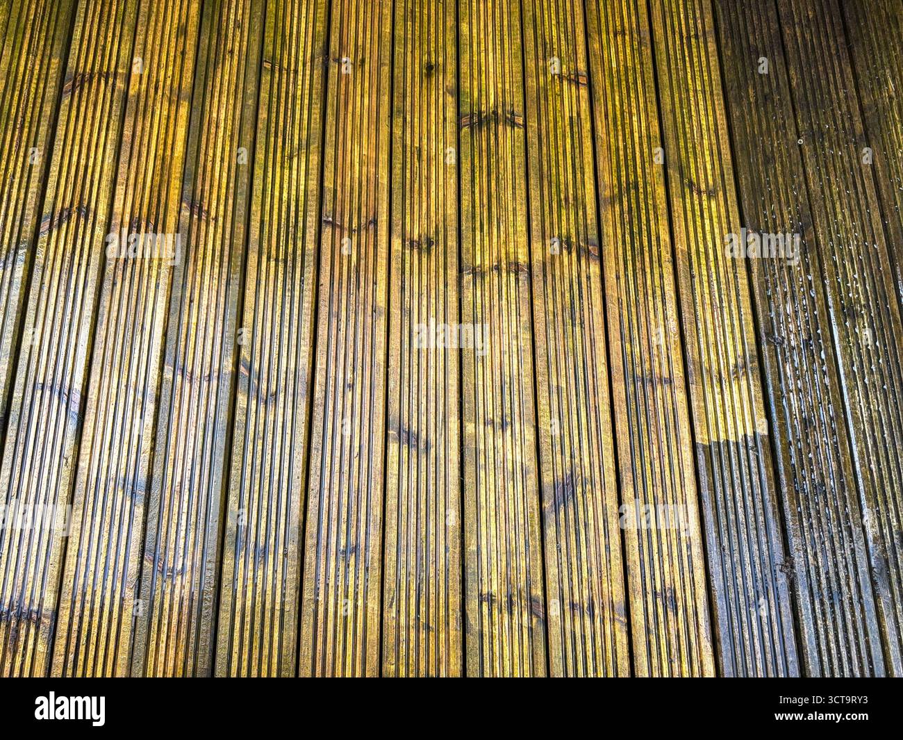 Vor und nach dem Anblick von Schmutz und Schmutz, der von Holzdielen mit einem Hochdruckreiniger gereinigt wird. DIY-Konzept. - Smartphone-aufgenommenes Stockfoto