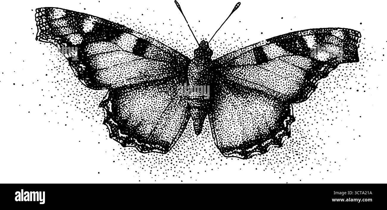Detaillierte Dotwork Schmetterling Illustration mit Stipptechnik für Kunst und Design. Stock Vektor