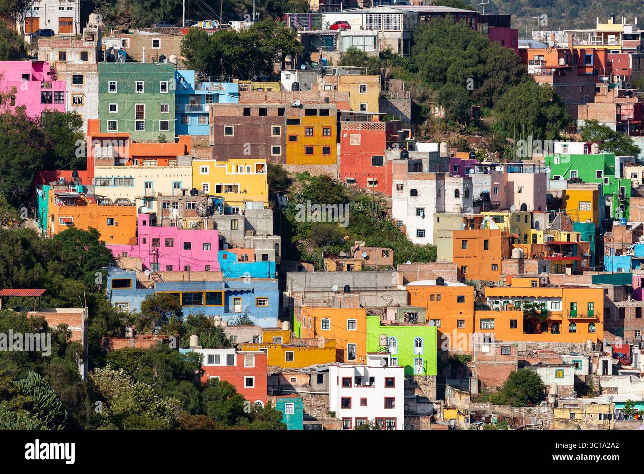 Ein lebhaftes Viertel am Hang wird dargestellt, das eine dichte Sammlung von Gebäuden zeigt, die in einer Vielzahl von Farben bemalt sind, was ein optisch gestreiftes Aussehen schafft Stockfoto