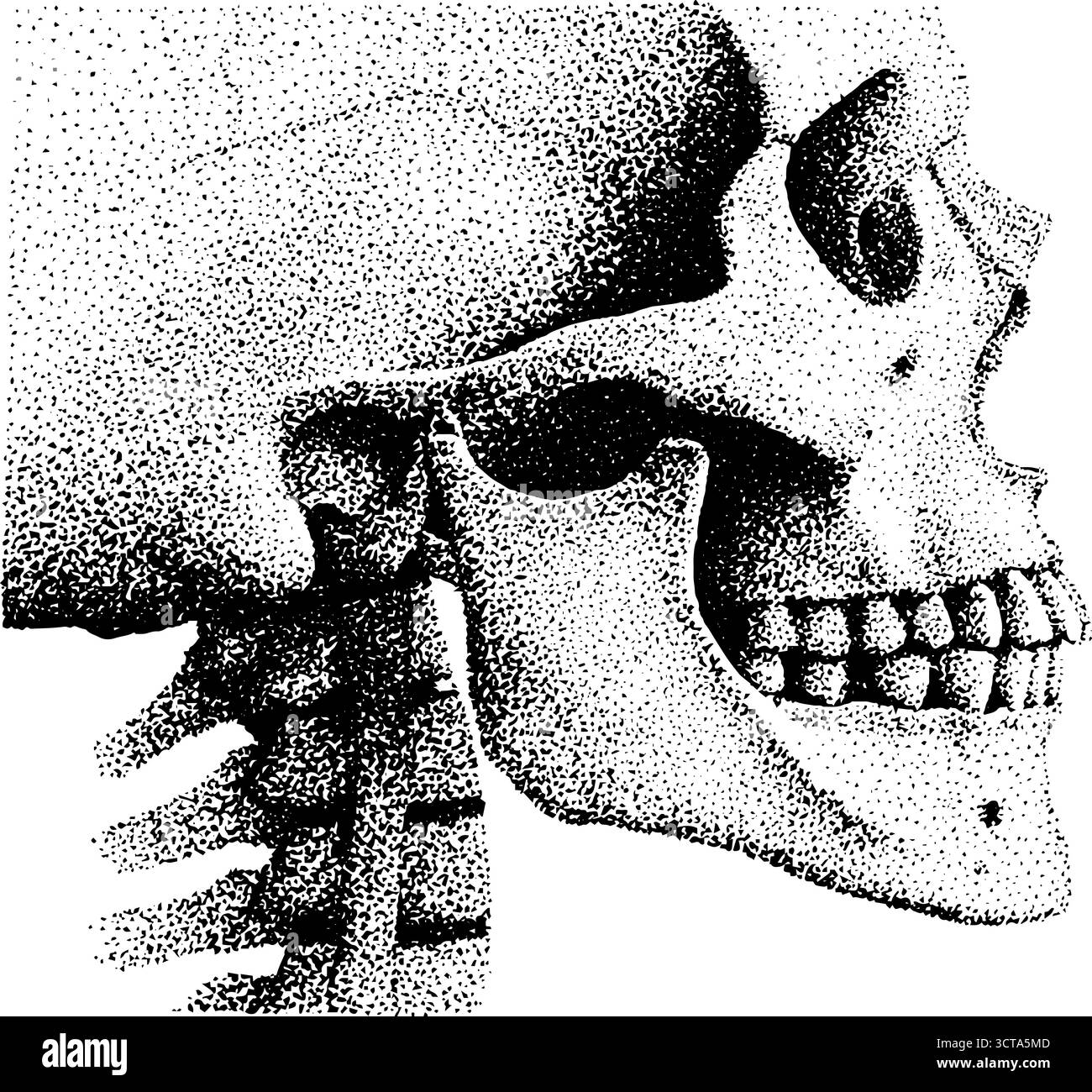 Komplizierte Dotwork-Stippling-Illustration menschlicher Schädel- und Brustkorbanatomie. Stock Vektor
