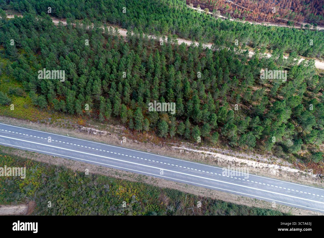 Gerade Straße auf dem Land Stockfoto