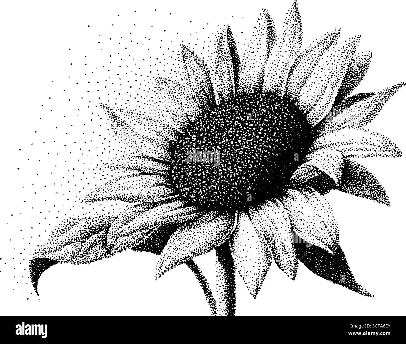 Detaillierte Punktstippelabbildung einer Sonnenblume im Halbton-Stil für Kunstdrucke. Stock Vektor