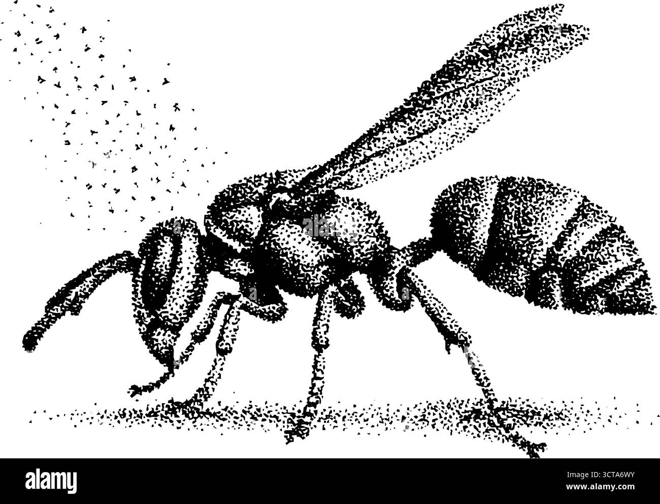 Detaillierte Dotwork-Stipple-Illustration einer Wespe in defensiver Haltung für künstlerische Designprojekte. Stock Vektor